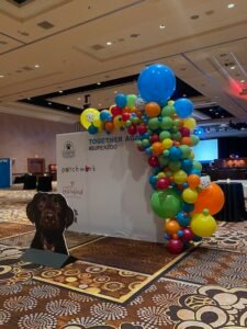 Colorful balloon arch at event entrance.